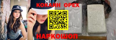 прущие грибы Донской