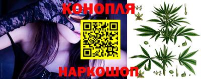 прущие грибы Донской