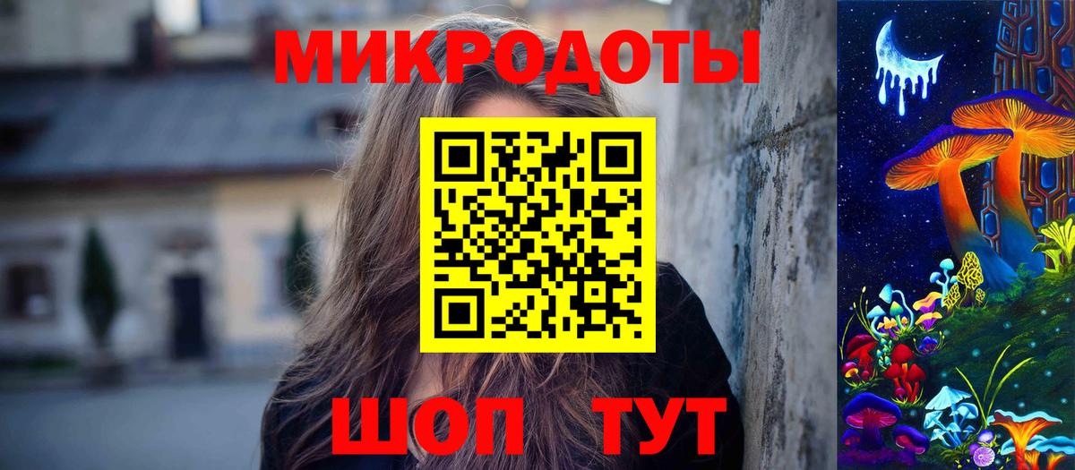 Галлюциногенные грибы Psilocybe Валуйки